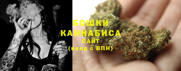 трава Переславль-Залесский