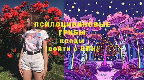 mix Аркадак